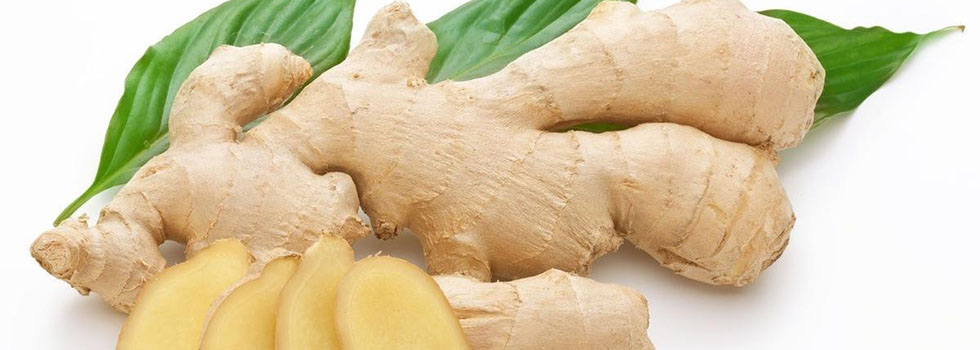 beneficios-jengibre