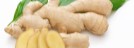 Jengibre (Zingiber officinale)
